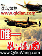 唯一战胜国小说