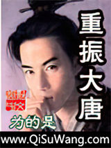 重振大唐小说