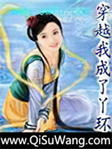 穿越之我成了丫环小说