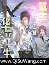 重生之华丽人生小说