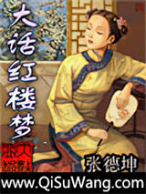 大话红楼梦小说