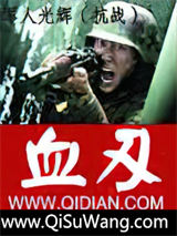 军人光辉之血刃小说