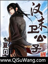 汉末卫公子小说