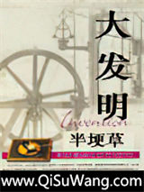 大发明小说