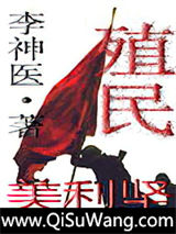 殖民美利坚小说