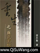 重生之雍正王朝小说