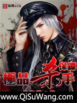 极品杀手保镖小说