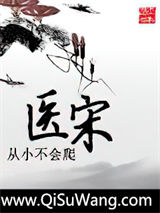 医宋小说