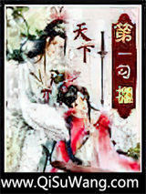 天下第一勾栏小说