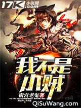 我不是小贼小说