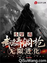 斗罗：我，武魂青铜枪，无限进化小说
