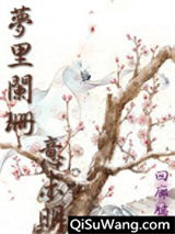 梦里阑珊意未明（清穿） 下部小说