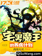 宅男魔王的养成计划小说