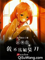 女尊之我不该被柴刀小说