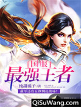 国服最强王者小说