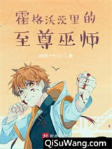 霍格沃茨里的至尊巫师小说