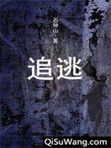 追逃小说