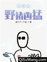 斗罗之野猪凶猛小说