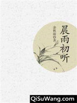 晨雨初听小说