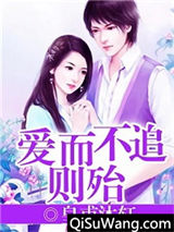 爱而不追则殆小说