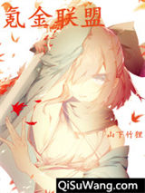 氪金联盟小说