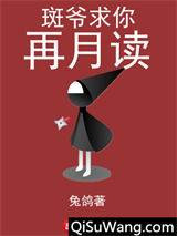 斑爷求你再月读小说