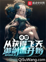 斗罗：从获得飞天御剑流开始小说