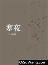 寒夜小说
