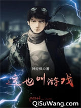 这也叫游戏小说