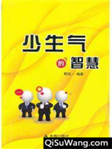少生气的智慧小说