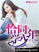 恰同学少年小说