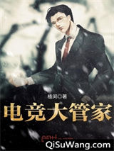 电竞大管家小说