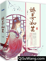 娇妻如芸小说