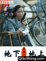 地下，地上小说