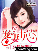 总裁禁猎区：宠妻十八小说