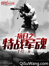 抗日之特战军魂小说