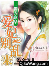镯弄京华：爱妃别乱来小说