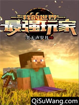 我的世界：最强玩家小说