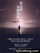 错过你为遇见谁小说