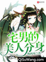 宅男的美人分身小说