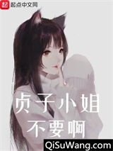 贞子小姐不要啊小说