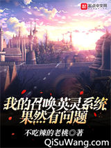 我的召唤英灵系统果然有问题小说