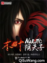 木叶阴天子小说