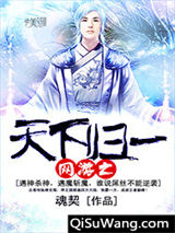 网游之天下归一小说