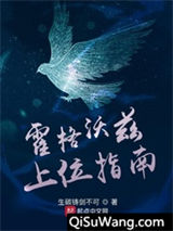 霍格沃兹上位指南小说