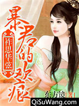 祚思华弦：暴君的欢痕小说