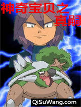 神奇宝贝之真嗣小说