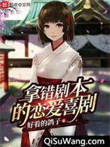 拿错剧本的恋爱喜剧小说