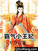 霸气小王妃小说
