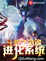 斗罗之武魂进化系统小说